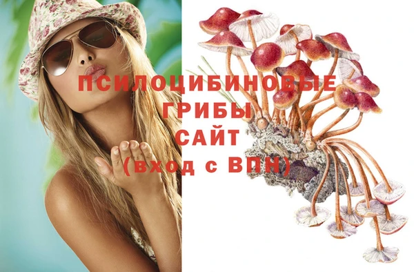 ECSTASY Заводоуковск