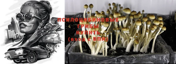 стафф Заволжье